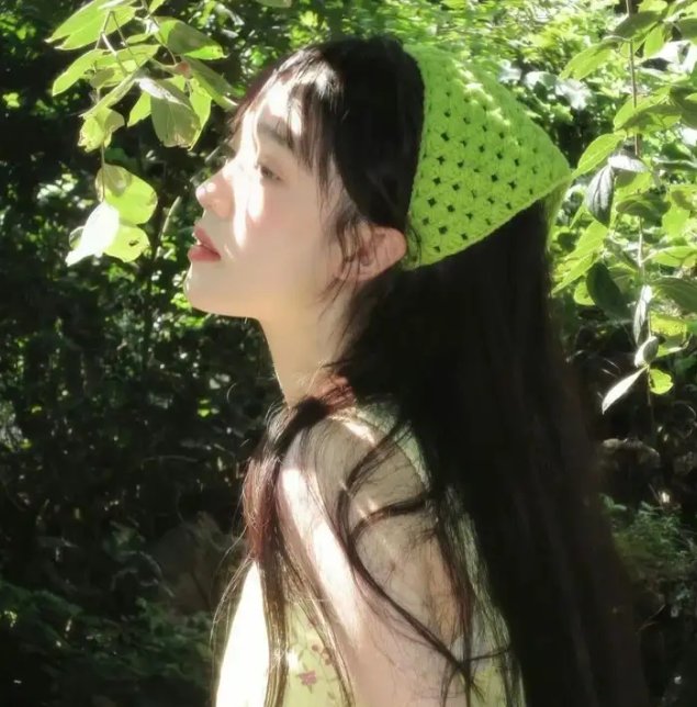 芙蓉帐暖渡春宵